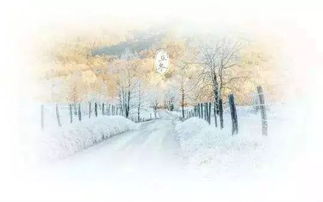 關于溫那的詩句