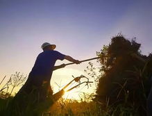 關于和父母旅游的詩句