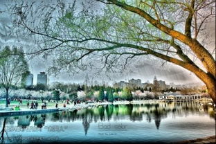 和玉淵潭賞春有關(guān)的古詩(shī)句