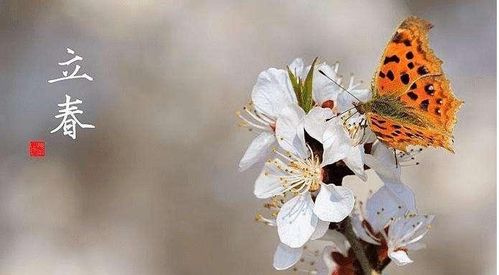 關(guān)于春的詩(shī)句和立春的一個(gè)農(nóng)諺