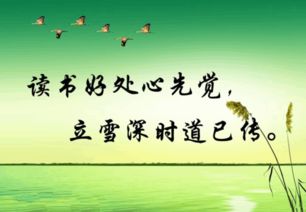 關(guān)于讀經(jīng)典頌美德獲新知的詩句