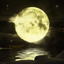 兩個(gè)關(guān)于月亮的詩句