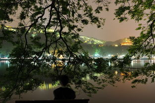 西湖,詩(shī)句,風(fēng)景