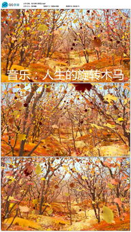 關(guān)于秋天楓葉的詩句詩朗誦