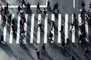 關(guān)于都市輕人叛逆的詩句