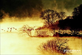 關(guān)于夢境的古代詩句