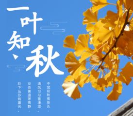 深圳,詩句,描寫,優(yōu)美