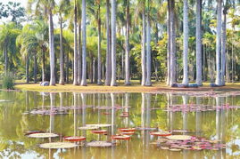 關(guān)于環(huán)境的作用的詩句