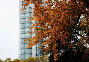 關(guān)于秋天奮斗的詩句