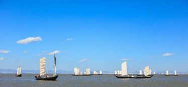 對自由生活向往的古詩句