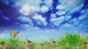 關(guān)于春天藍(lán)天白云的詩(shī)句有哪些