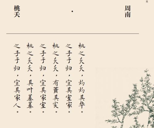 表達(dá)愛(ài)意的詩(shī)句古詩(shī)