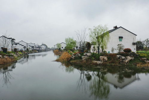 詩(shī)句,美景,鄉(xiāng)村,有哪些