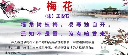 古詩(shī),詩(shī)句,描寫