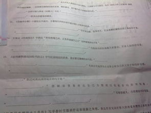 初二13課古詩詩句理解