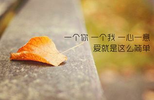 關(guān)于贊美大海的現(xiàn)代詩(shī)句