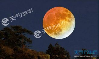 有關(guān)傳統(tǒng)佳節(jié)的古詩名句詩句