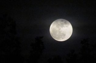 關(guān)于描寫冬天月亮的詩句古詩