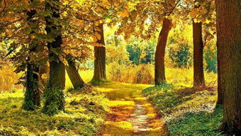 描寫秋天傷感的古詩句子