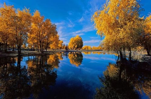 古詩,詩句,描寫,大全