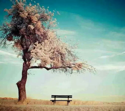 唯美古詩句風(fēng)景下雨