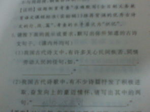 關(guān)于關(guān)心同情勞動人民詩句