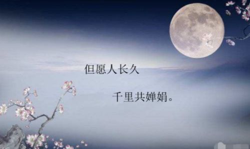 關(guān)于月亮和中秋的古詩(shī)有哪些?,關(guān)于中秋或者月亮的古詩(shī)句,描寫中秋月亮的古詩(shī)句