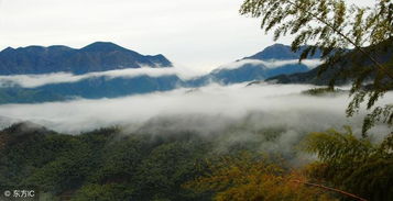 關(guān)于舟和帆的詩句