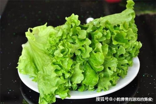 關于生菜的詩句