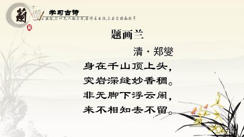 關(guān)于閱讀課的詩句