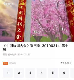 關(guān)于愛奇藝詩句