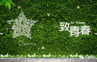 描寫(xiě)青春的優(yōu)美詩(shī)句,青春的現(xiàn)代優(yōu)美的詩(shī)句摘抄,關(guān)于青春奮斗的優(yōu)美詩(shī)句