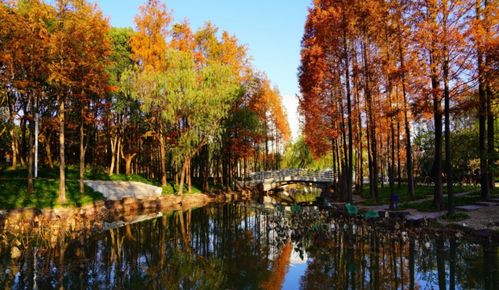 寫秋景的詩(shī)句古詩(shī)離別