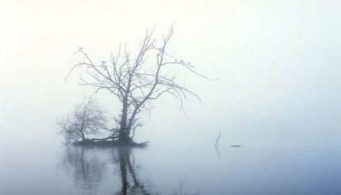 關(guān)于清晨的現(xiàn)代詩句