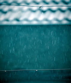 關(guān)于春雨的詩(shī)句風(fēng)