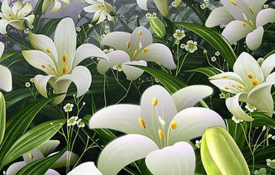 描寫百合花的古詩(shī)句大全