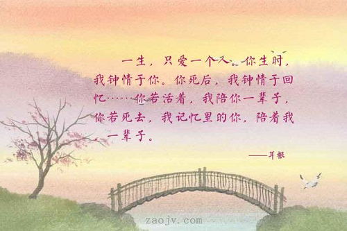 關于陪伴一生的詩句