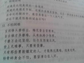 關(guān)于面對(duì)逆境的詩(shī)句