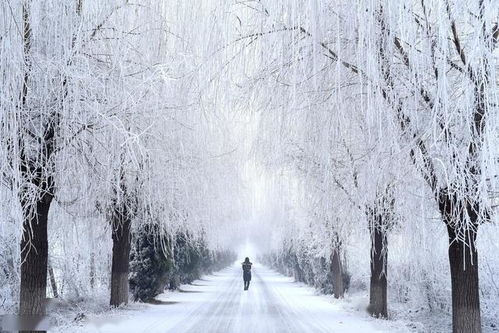 古詩,詩句,風雪,描寫