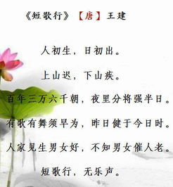 感恩母親的詩句古詩朗誦,寫感恩母親的詩句古詩,感恩母親的詩句