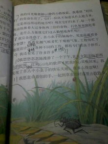 關(guān)于擬人句的詩句有哪些