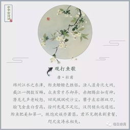 古詩中寫美食的詩句