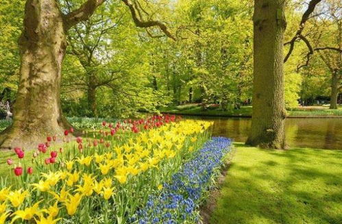 關于秋天收獲的詩句和諺語,秋天的詩句和諺語,有關秋天的成語詩句諺語