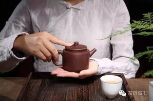 關(guān)于綠茶的四句詩(shī)句