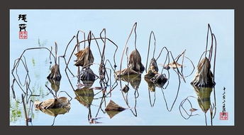 寫秋荷花的詩句古詩