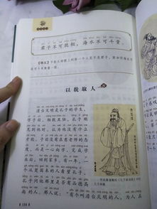 關于詩句書的作文