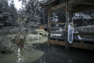 關(guān)于悠然亭詩句