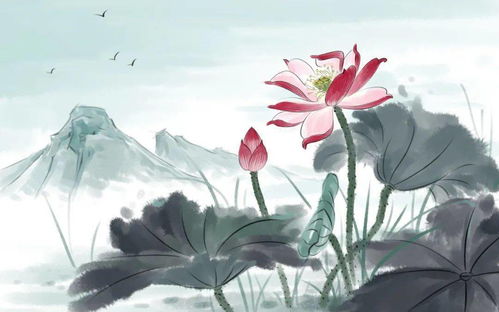 關(guān)于蝶戀花詩句