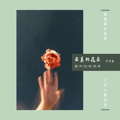 關(guān)于花兒凋落的詩句