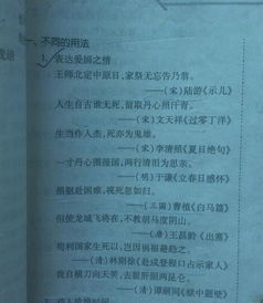 關(guān)于想要報效祖國的詩句